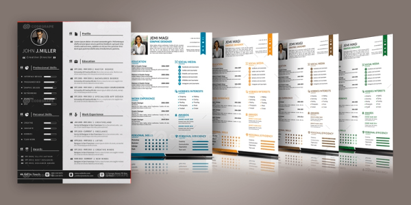 100+ Premium resume Templates